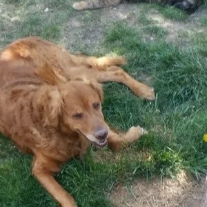 Meet your Posher, Dylan